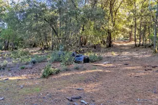 9240 Kelsey Creek Dr, Kelseyville, CA 95451 - Photo 79