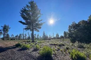 9240 Kelsey Creek Dr, Kelseyville, CA 95451 - Photo 3