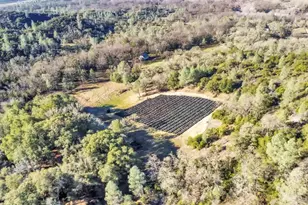 9240 Kelsey Creek Dr, Kelseyville, CA 95451 - Photo 35