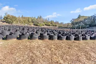 9240 Kelsey Creek Dr, Kelseyville, CA 95451 - Photo 41