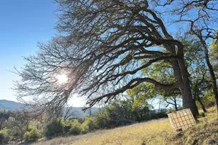 9240 Kelsey Creek Dr, Kelseyville, CA 95451 - Photo 17