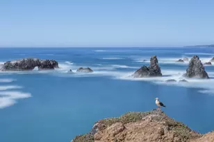 36939 Green Cove Dr, The Sea Ranch, CA 95497 - Photo 69