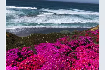 36939 Green Cove Drive, The Sea Ranch, CA 95497 - Photo 71