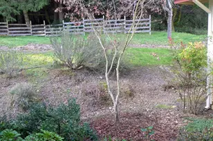 14639 Jomark Ln, Occidental, CA 95465 - Photo 23