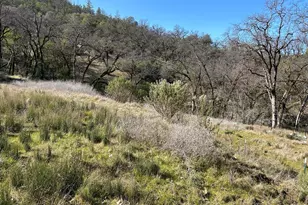 1 Island Mountain Rd, Laytonville, CA 95454 - Photo 79