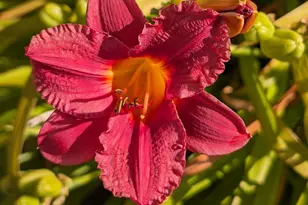 [Address not provided], Rohnert Park, CA 94928 - Photo 27