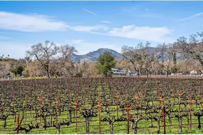 1180 Monticello Road, Napa, CA 94558 - Photo 43