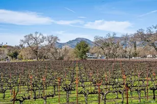 1180 Monticello Rd, Napa, CA 94558 - Photo 43