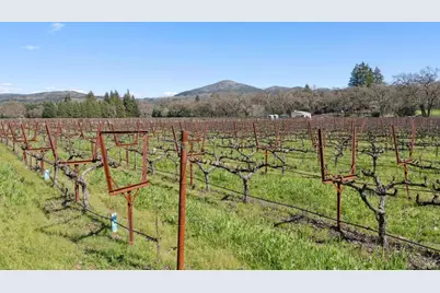 1180 Monticello Road, Napa, CA 94558 - Photo 51