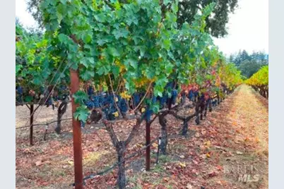 1180 Monticello Road, Napa, CA 94558 - Photo 67