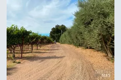 1180 Monticello Road, Napa, CA 94558 - Photo 65