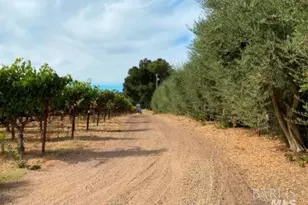 1180 Monticello Rd, Napa, CA 94558 - Photo 65