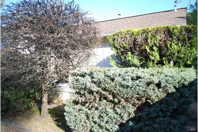 1309 D Street Extension Street, Petaluma, CA 94952 - Photo 21