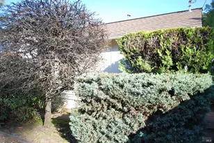 1309 D Street Extension St, Petaluma, CA 94952 - Photo 21