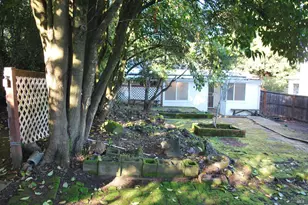 1309 D Street Extension St, Petaluma, CA 94952 - Photo 5