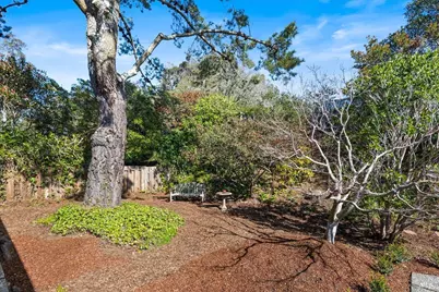 841 Chamberlain Court, Mill Valley, CA 94941 - Photo 47