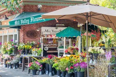 21 Eucalyptus Knoll Street, Mill Valley, CA 94941 - Photo 51