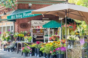 21 Eucalyptus Knoll St, Mill Valley, CA 94941 - Photo 51