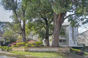 21 Eucalyptus Knoll St, Mill Valley, CA 94941 - Photo 41