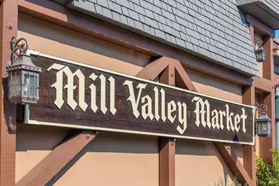 21 Eucalyptus Knoll Street, Mill Valley, CA 94941 - Photo 49