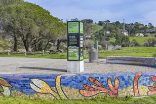 21 Eucalyptus Knoll St, Mill Valley, CA 94941 - Photo 45