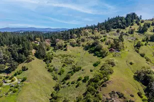 15800 Ridgeview Rd, Willits, CA 95490 - Photo 1