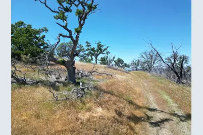 0 Pope Canyon Road, Pope Valley, CA 94567 - Photo 3