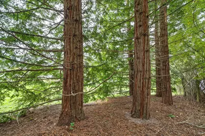 6363 Pond Hollow Road, Sebastopol, CA 95472 - Photo 29