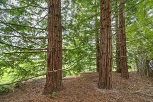 6363 Pond Hollow Rd, Sebastopol, CA 95472 - Photo 29