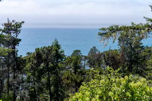 46900 Gypsy Flat Rd, Gualala, CA 95445 - Photo 49