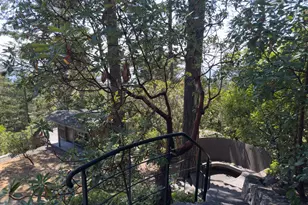 46900 Gypsy Flat Rd, Gualala, CA 95445 - Photo 53