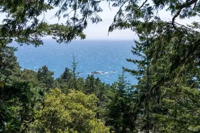 46900 Gypsy Flat Road, Gualala, CA 95445 - Photo 3