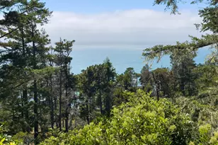 46900 Gypsy Flat Rd, Gualala, CA 95445 - Photo 19