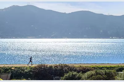 7 Palmer Court, Tiburon, CA 94920 - Photo 47