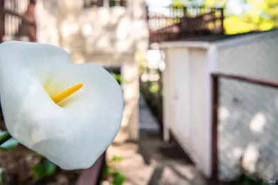 138 Miramar Avenue, San Rafael, CA 94901 - Photo 37