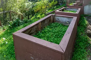 138 Miramar Ave, San Rafael, CA 94901 - Photo 35