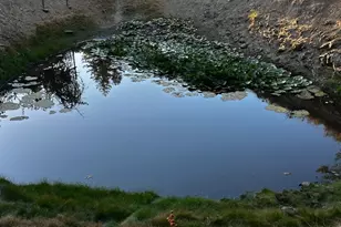 13333 Low Gap Rd, Ukiah, CA 95482 - Photo 33