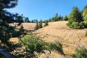 13333 Low Gap Rd, Ukiah, CA 95482 - Photo 3