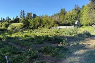 13333 Low Gap Rd, Ukiah, CA 95482 - Photo 49