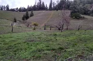 13333 Low Gap Rd, Ukiah, CA 95482 - Photo 41