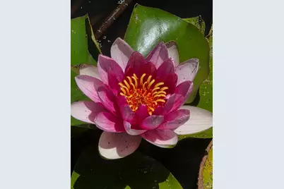 13333 Low Gap Road, Ukiah, CA 95482 - Photo 23