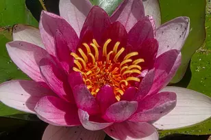 13333 Low Gap Rd, Ukiah, CA 95482 - Photo 23