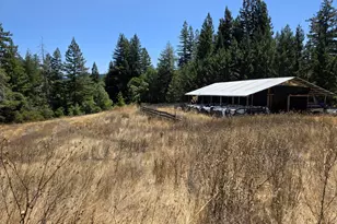 13333 Low Gap Rd, Ukiah, CA 95482 - Photo 25