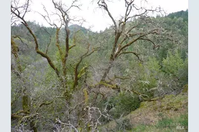 4225 Reeves Canyon Road, Redwood Valley, CA 95470 - Photo 9