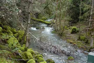 4225 Reeves Canyon Rd, Redwood Valley, CA 95470 - Photo 1