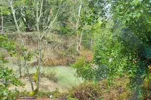 1700 Ca-20 Hwy, Willits, CA 95490 - Photo 9