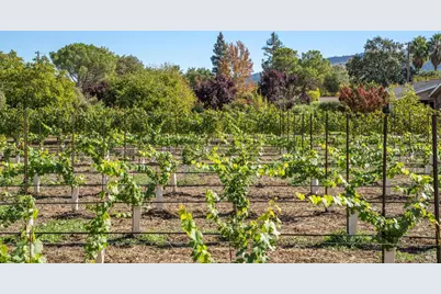 3033 Myrtledale Road, Calistoga, CA 94515 - Photo 65