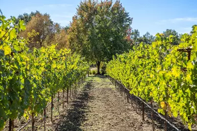 3033 Myrtledale Road, Calistoga, CA 94515 - Photo 63