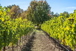 3033 Myrtledale Rd, Calistoga, CA 94515 - Photo 63