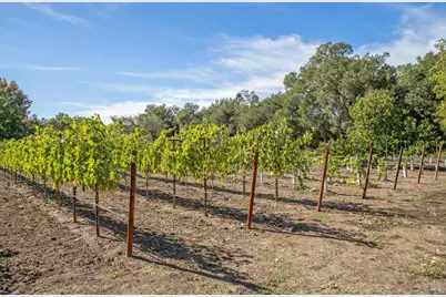 3033 Myrtledale Road, Calistoga, CA 94515 - Photo 69
